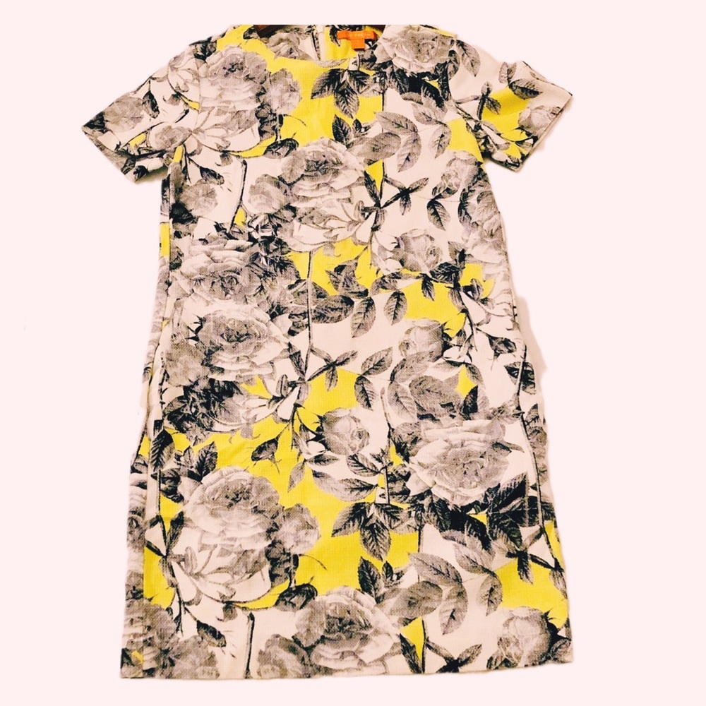 Joe Fresh Dress